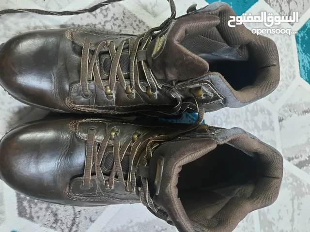 Cat Shoes استعمال خفيف