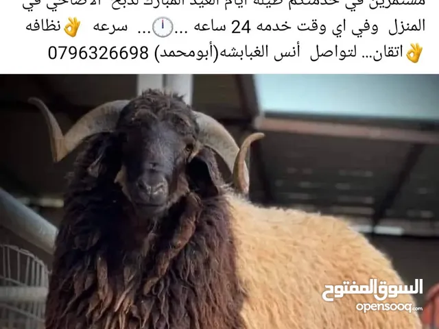 لحام متنقل لذبح الاضاحي في المنزل الحجز المبكر يضمن لكم البدايه وكل عام وانتم بخير   عمان