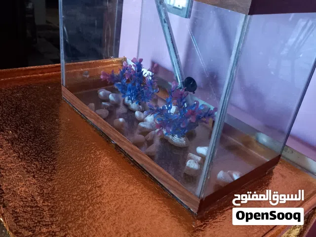 حوض سمك مستعمل سنه