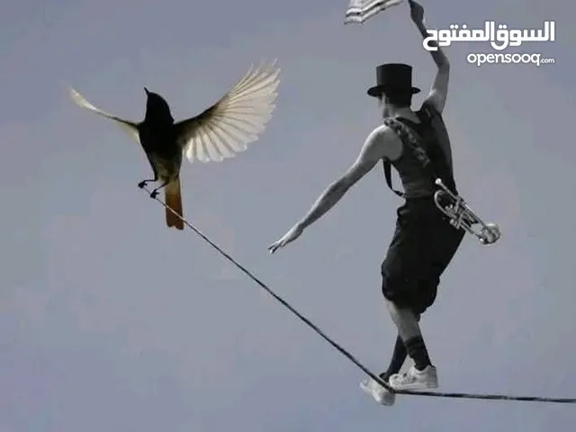 لاتضوجني ولاضوجك