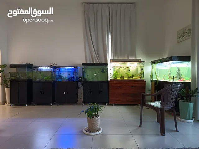 AQUARIUM FOR SALE