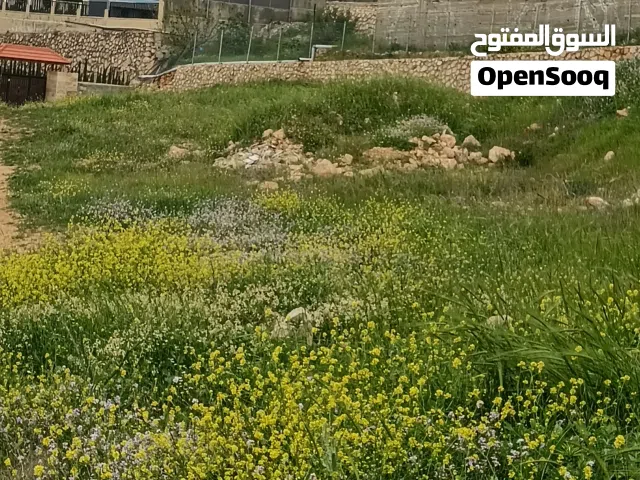 ارض مميزه للبيع
