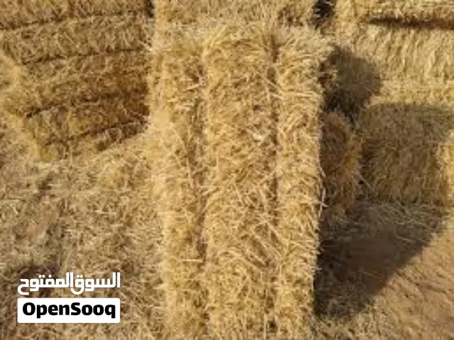 المرج الاخضر للاعلاف ام العمد