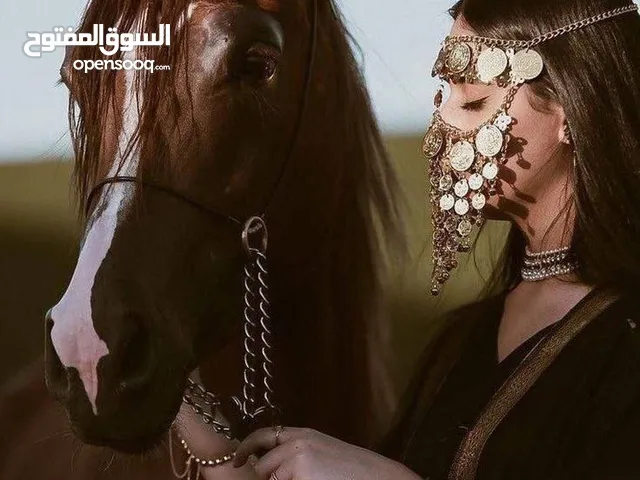برقع من البرازيل