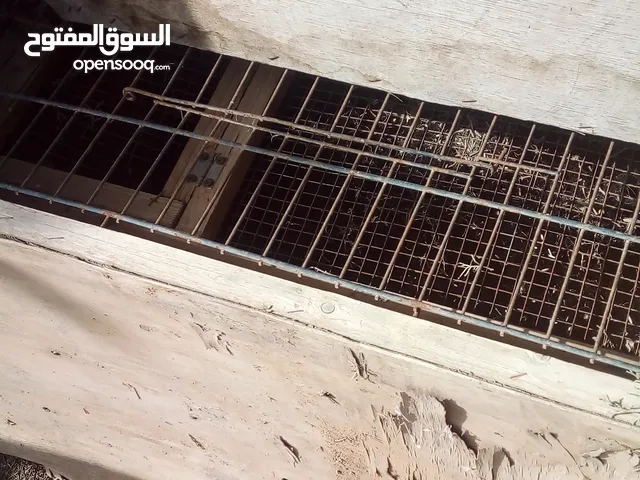 بارتيات لوح بيع اواستبدال