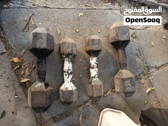 iron dumbells