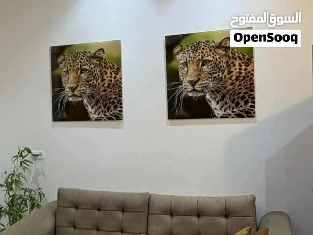 كراسي صاله شبه جديد من هوم سنتر
