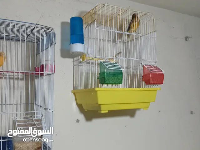 كنار للبيع