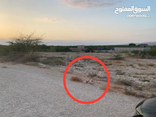 ارض مميزه للبيع في غور الراما الموقع في التفاصيل