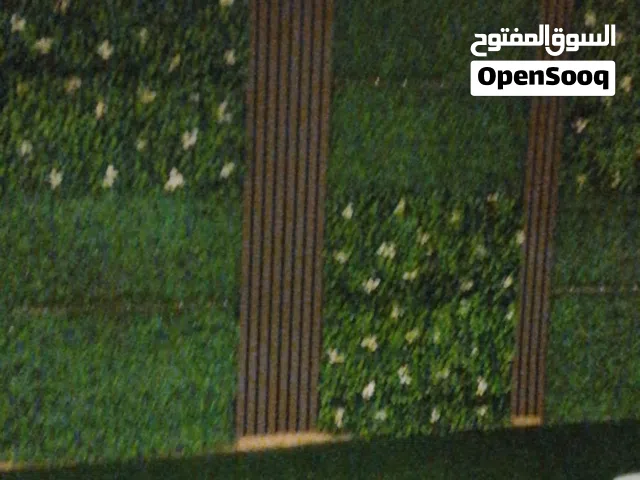 معلم وتركيب عشب الصناعي وبديل الخشب وتركيب الديكورات عشب والجداري تمام