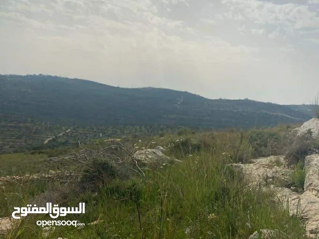 اطلالة مرتفعة طبيعية، على الشارع مباشرة، دير السودان، تصنيف الف - 900 متر و 1500 متر