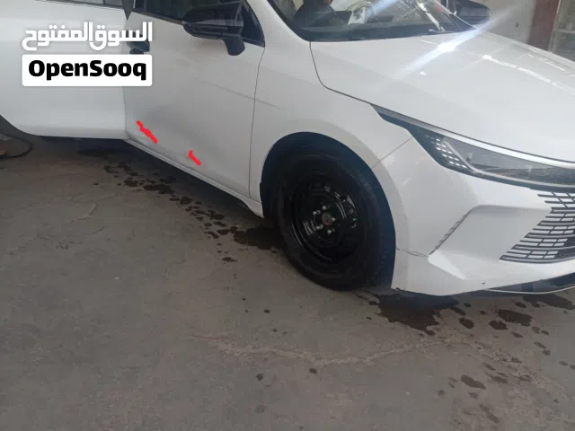 2025 BYD Destroyer 05