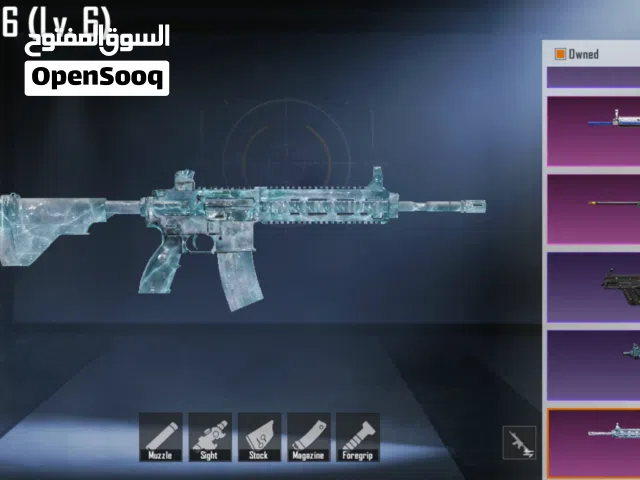 Pubg Accounts and Characters for Sale in Muharraq