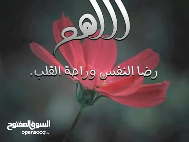 member164753389960