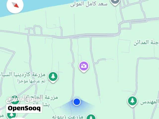 ارض زراعي تصلح مزرعه