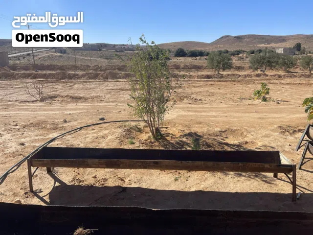 وكلات وشربات لسعي