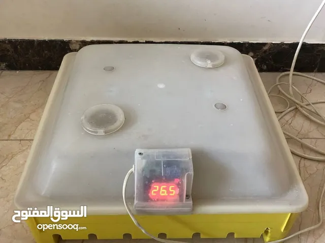 حضانة بيض للبيع