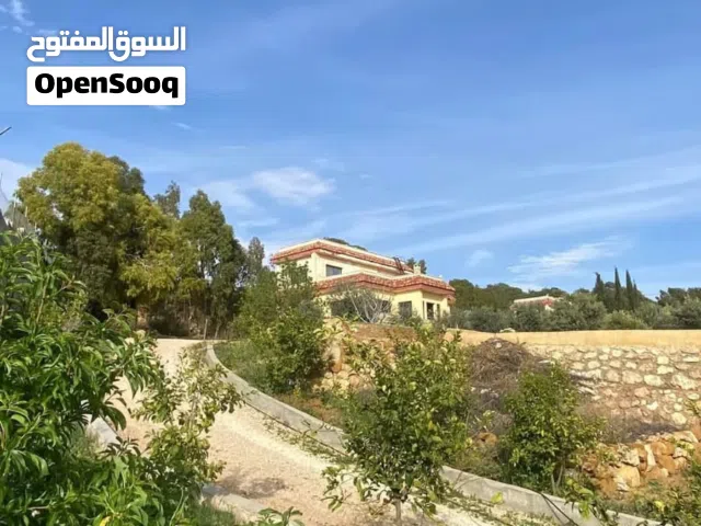 Farm Land for Sale in Jerash Al-Kittah