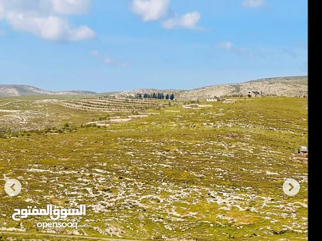 Mixed Use Land for Sale in Nablus Asira Ash-Shamaliya