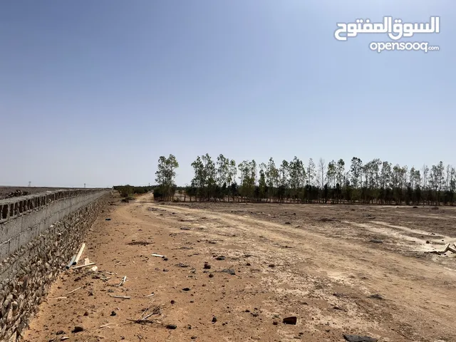 Farm Land for Sale in Bani Walid Other