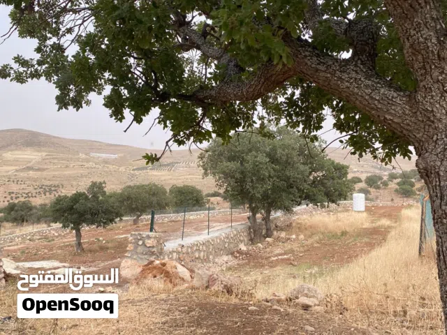Mixed Use Land for Sale in Zarqa Al-Alouk