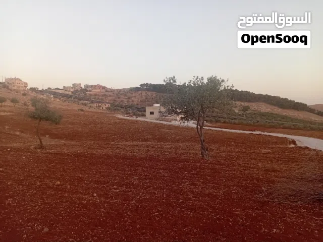 Residential Land for Sale in Madaba Al-Faisaliyyah
