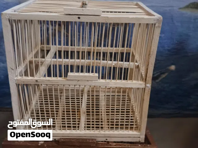 قفص بلبل حجم كبير شغل يدوي سعره 20 وبي مجال بسيط مكاني ابو الخصيب العوجة