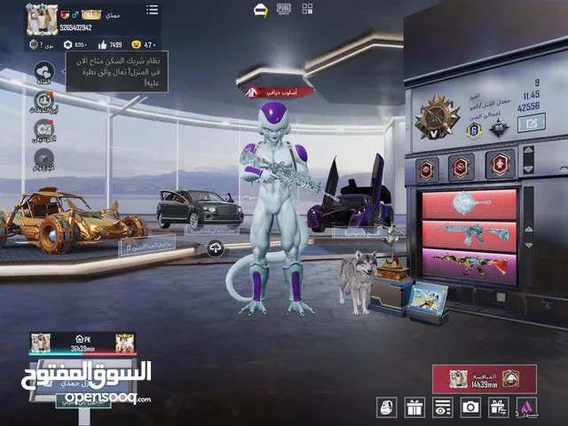 حساب ببجي عالميه للبيع
