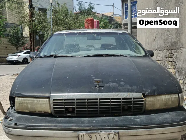 دولفين رقم بغداد تسقيط