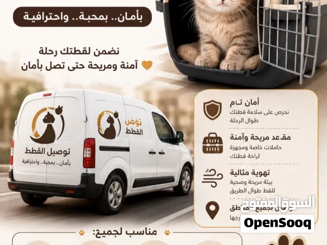 خدمة توصيل القطط الى جميع أنحاء الإمارات