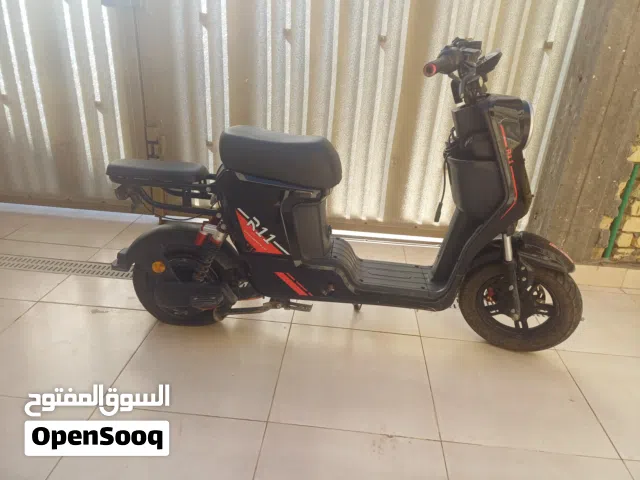 2024 اخرى اخرى