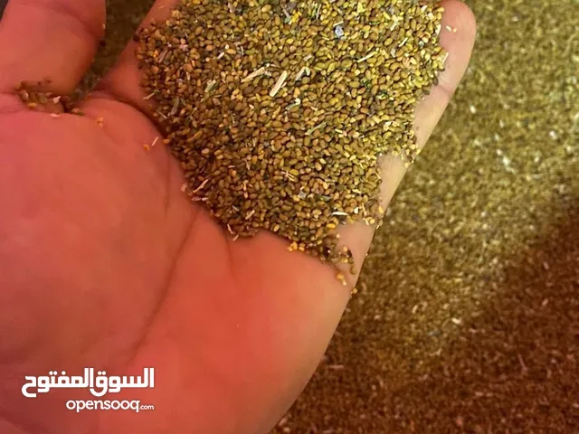 بذر نظيف جدآ