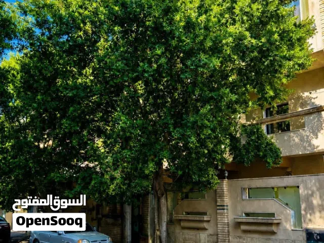 Building for Sale in Tripoli Zanatah