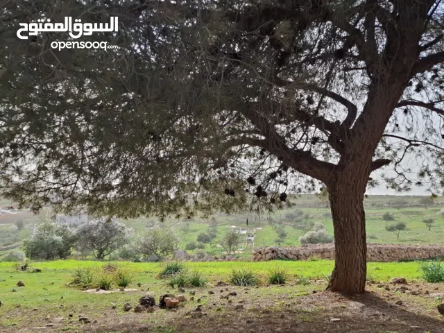 فرصة استثمارية مميزة في جرش – عنيبه (إسكان المهندسين) للبيع دونمان أرض مميزة في واحدة من أرقى مناطق