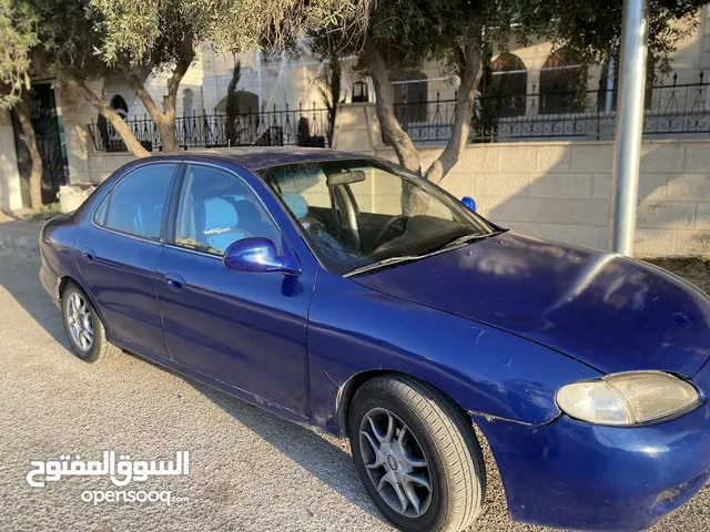 Used Hyundai Avante in Amman