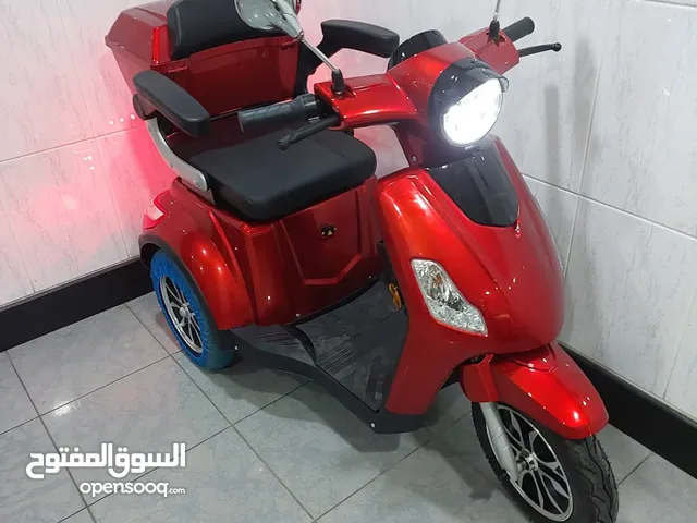 2025 Electric Scooter Version. The Latest Release!