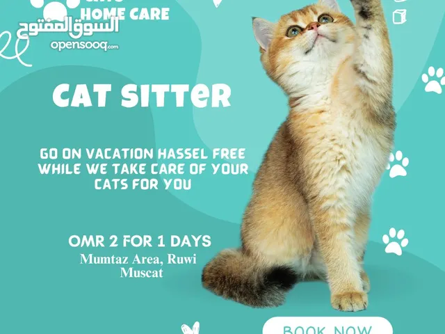 Cats Home Care