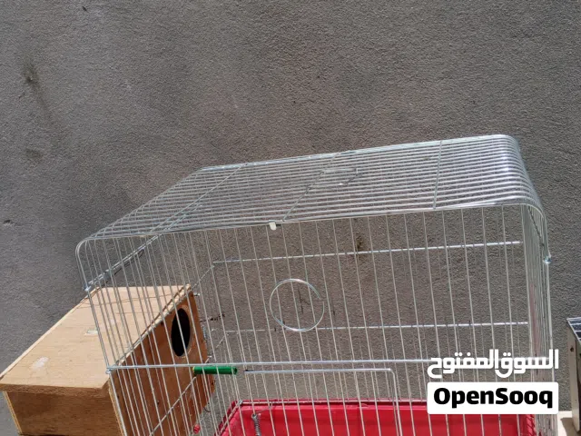 قفص ببغاء او عصافير