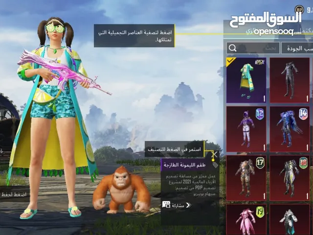 Pubg Accounts and Characters for Sale in Basra