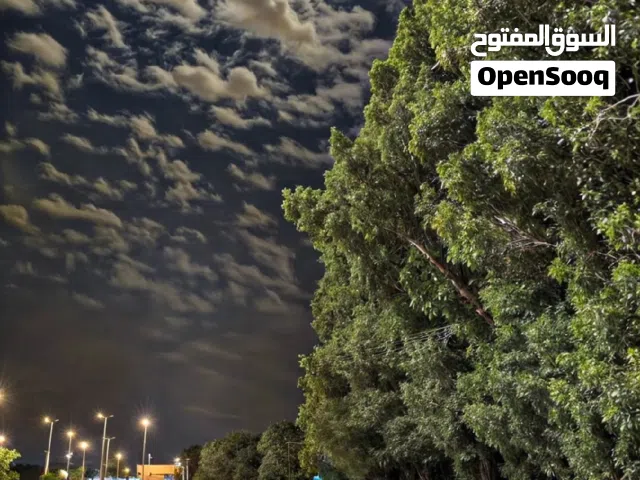 ايفون 13عادي الله يبارك 75 بطاريه 256 قيقا