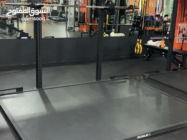 Olympic squat rack