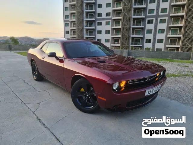 Used Dodge Challenger in Baghdad