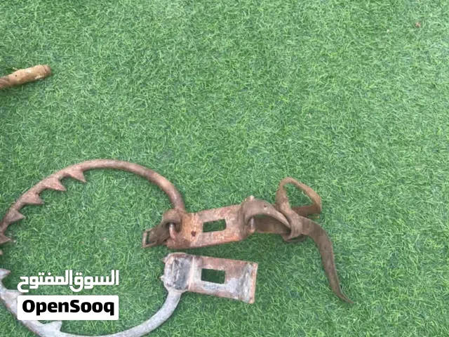 صطفات ربي يبارك بتع الشركه