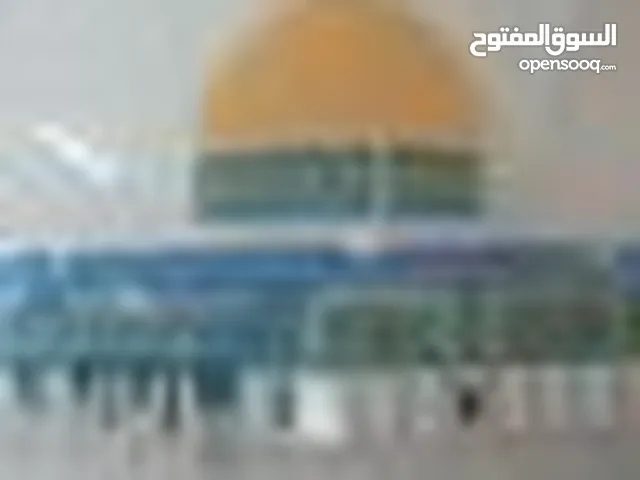تيسير الحوراني