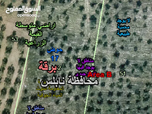 Mixed Use Land for Sale in Nablus Burqa