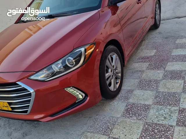 Used Hyundai Elantra in Muscat