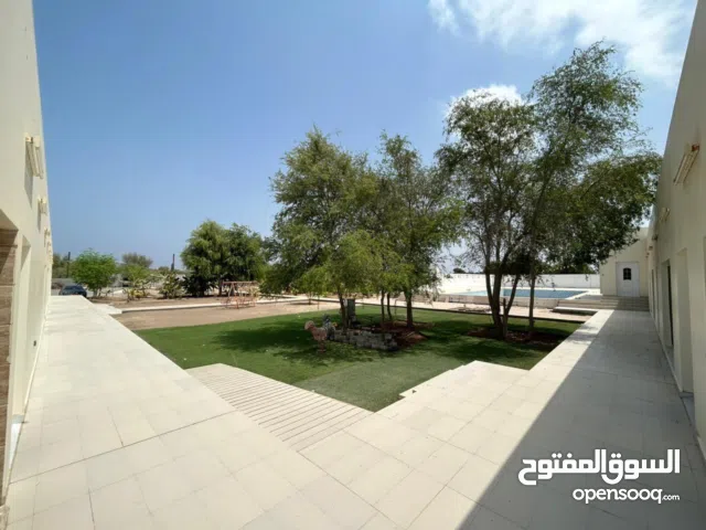 Farm Land for Sale in Al Batinah Barka