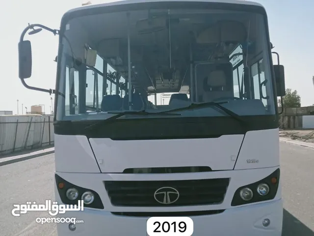 باص تاتا 2019