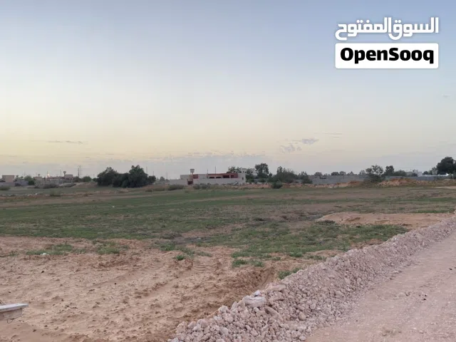 ارض زراعيه