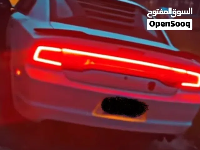 اصطاب دودج خلفي المسطره فقط دوج